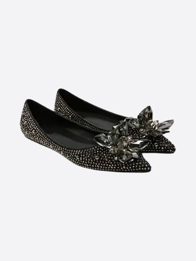 Elegant Crystal Embellished Pointed Flats